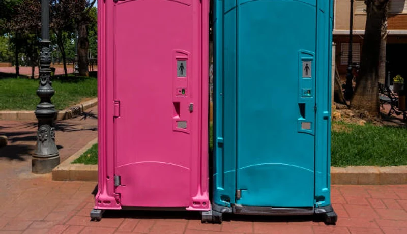 Handicap Portable Toilets services in Windsor.